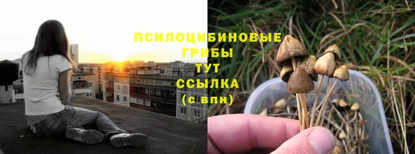 эйфоретик Алексин