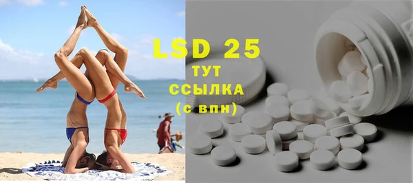 PSILOCYBIN Алзамай