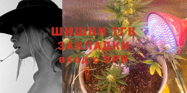 PSILOCYBIN Алзамай
