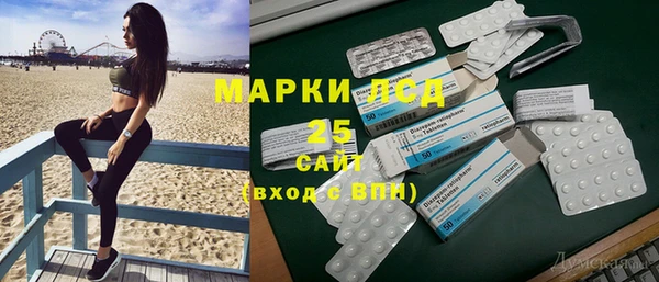 прущие грибы Алексеевка
