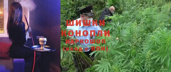 PSILOCYBIN Алзамай