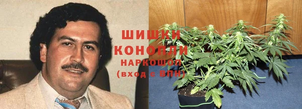 PSILOCYBIN Алзамай