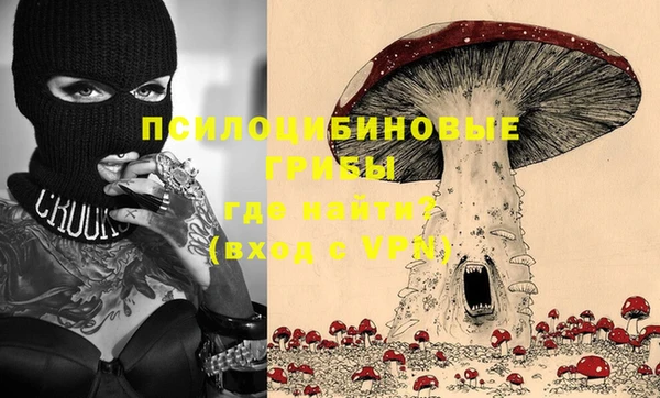 прущие грибы Алексеевка
