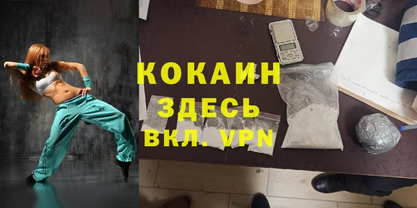 PSILOCYBIN Алзамай
