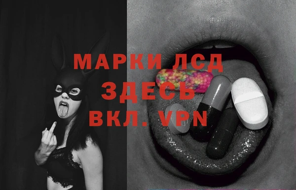 PSILOCYBIN Алзамай