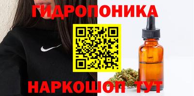 ешки Аргун