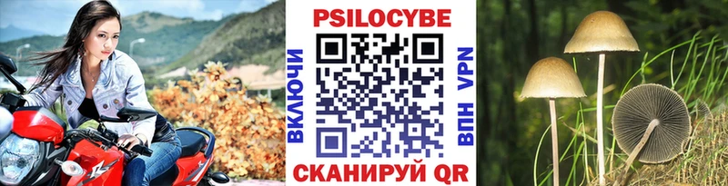 МЕГА рабочий сайт  Балабаново  Псилоцибиновые грибы MAGIC MUSHROOMS 