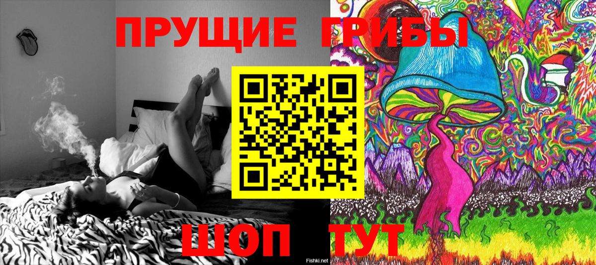 Псилоцибиновые грибы Cubensis  Псилоцибиновые грибы Cubensis  Вход с VPN  Балабаново 
