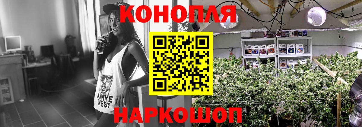 Канабис AK-47  Бошки Шишки гибрид  Балабаново  Бошки марихуана план  Бошки марихуана марихуана  Вход с VPN 